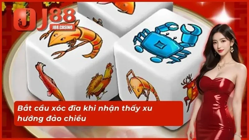 Bắt cầu xóc đĩa khi nhận thấy xu hướng đảo chiều